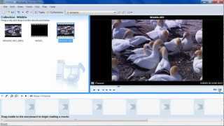 How to Capture Image from Video in Windows Movie Maker [upl. by Wilone]