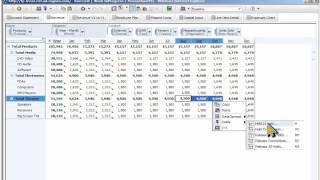 ND IBM Cognos TM1 Demo [upl. by Horowitz]