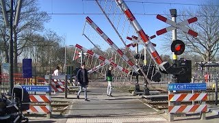 Spoorwegovergang Waddinxveen  Dutch railroad crossing [upl. by Kirsteni818]