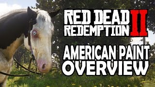 American Paint Overview  Red Dead Redemption 2 Horses [upl. by Dodge31]