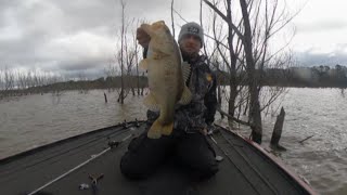 Bussey Brake Toad  03092024  Bass Fishing  Louisiana [upl. by Jefferey137]