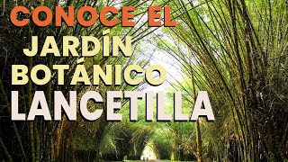 Los secretos del Jardín Botánico Lancetilla en Tela Honduras [upl. by Eeneg]