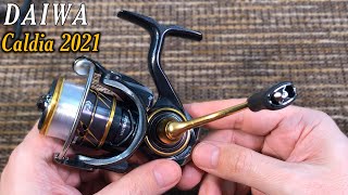 2021 DAIWA Caldia  short review [upl. by Netsoj]