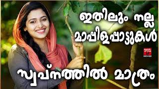 Malayalam Mappila Songs  Old Mappilappattukal  Mappilapattukal  Mappila Pattukal Malayalam [upl. by Sweet583]