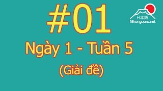 Đọc hiểu N3  Ngày 1  Tuần 5  Somatome Giải đề [upl. by Ecirum]