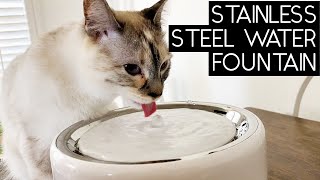 PETKIT EVERSWEET 3 WATER FOUNTAIN REVIEW  SVEN AND ROBBIE [upl. by Happ]