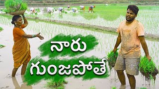 Village paddy farming  my village show sankranti special comedy [upl. by Elleirol342]