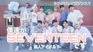 SEVENTEENセブチを知ろう！！！【 SEVENTEEN  セブチ  세븐틴  メンバー  紹介 】 [upl. by Assi306]