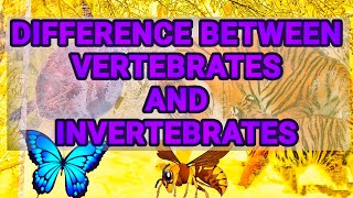 Difference between vertebrates and invertebrates  chordates and non chordates difference [upl. by Codd]