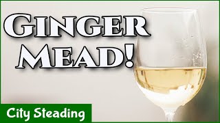 Homemade Honey Mead Ginger Mead Ginger Metheglin Easy Recipe [upl. by Cohlette]