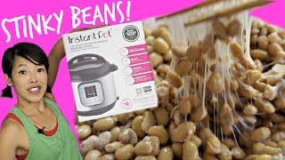 DIY Instant Pot Natto  Homemade Fermented Stinky Soybeans [upl. by Cowan]