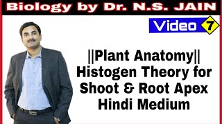 Histogen Theory for Shoot amp Root Apex Plant Anatomy  Hindi Medium [upl. by Ydnyc]