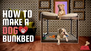 How To build a Dog Bed  DIY dog bed  How To Make a Dog Bed  Easy DIY bunkbed [upl. by Pamelina]