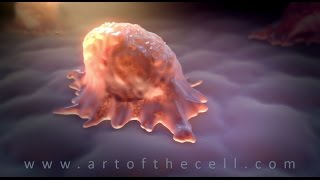 JOHN LIEBLER  DEMO REEL  Art of the Cell Medical amp Scientific 3D Animation [upl. by Adnicaj]