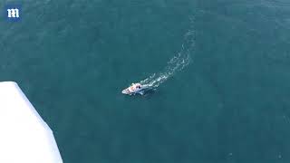 Underwater search for Emiliano Salas plane gets underway [upl. by Attenehs679]