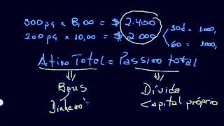 Contabilidade e Gestão Financeira Aula 1 [upl. by Akeenat]