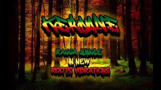 Ragga Jungle Drum amp Bass Mix  Ragga Jungle New Roots Vibrations Drum amp Bass Mix 2023 [upl. by Haimehen]