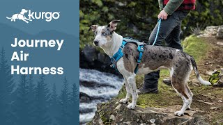 The Journey Air Dog Harness  Adventure in comfort [upl. by Yleak]