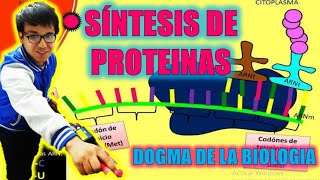 BIOLOGÍA FREE   SINTESIS DE PROTEINAS  DOGMA DE LA BIOLOGIA 👉😍🌿 [upl. by Doroteya118]