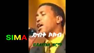 Haileyesus Girma Temam Ethiopian Music [upl. by Landers]