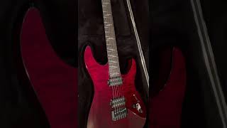 Schecter Reaper 6 Elite Blood Burst SN W22110966 [upl. by Yasmar]