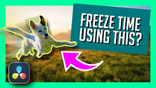 Awesome FreezeFrame Callout GFX in Resolve 17  Advanced Fusion Motion Graphics Tutorial [upl. by Petulah]