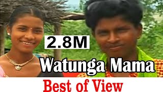 Watunga Mama  Gondi Geet   Pandurang Meshram  New Gondi Song [upl. by Ateerys]