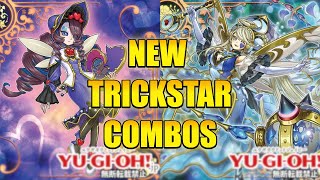 BURN DMG 3 NEW TRICKSTAR COMBOS  YuGiOh [upl. by Ebberta]