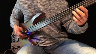 Meditative Fretless Bass Solo with Ebow  Walking White Shores [upl. by Deehan]