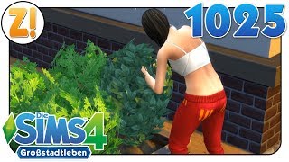 Sims 4 Großstadtleben Die Salbei Erdbeere 1025  Lets Play DEUTSCH [upl. by Nocaj]