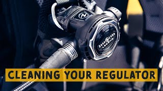 How To Clean Your Scuba Regulator [upl. by Ytsirk]