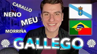 5 PALABRAS GALLEGAS TÍPICAS QUE DEBES APRENDER  Clase de gallego [upl. by Oretos]