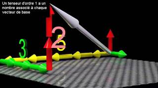 En Français Les Tenseurs Pour Les Débutants expliqué intuiti  CovarianteContravarianteordre [upl. by Riatsila]