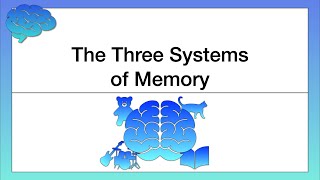 The Three Systems of Memory [upl. by Ahseei903]