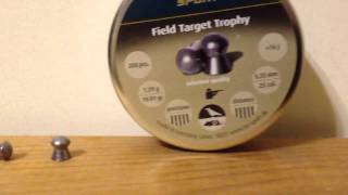 HampN Field Target Trophy 25 Caliber Lead Pellet Review [upl. by Ajuna]