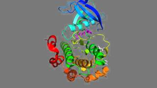 Insulin receptor tyrosine kinase drug pocket binding a nonATPcompetitive inhibitor [upl. by Adnim]