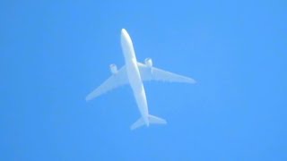 Contrail Spotting WAMOS AIR A330 41000 FEET [upl. by Isbel]