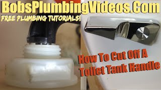 How to fix a Toilet Toilet Handle Replacement [upl. by Llezo714]