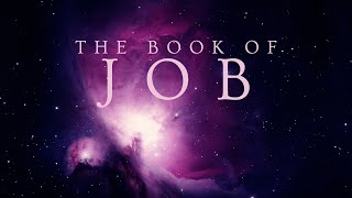 Job Chapter 20 Bible Overview [upl. by Alegnatal]