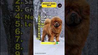 The Biggest Dogs in the World quiz dog guess [upl. by Hgieliak]