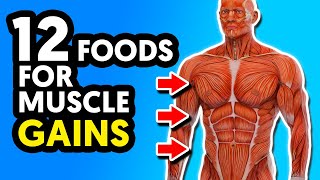 12 Best Foods For Muscle Building and Strength [upl. by Hardden833]