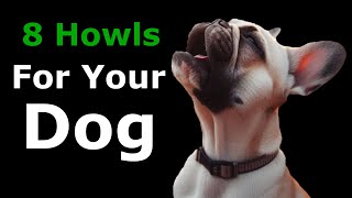 DOG HOWLING to Make Your Dog Howl  8 DOGS HOWLING and Barking Sound Effect [upl. by Dimitri]