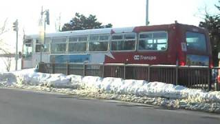 OC Transpo Buses [upl. by Nadruoj]