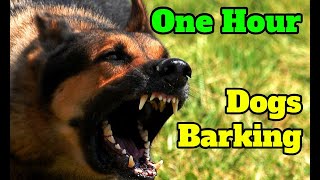 Dogs Barking for One Hour  barking sounds for 60 minutes of different breeds of dogs [upl. by Onitselec]