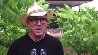 Maynard James Keenan talks about nurturing competition among Arizona winemakers [upl. by Akenaj775]