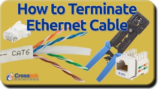 How to Terminate Ethernet Cables [upl. by Raphael]