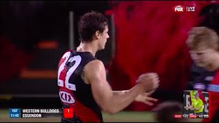 Essendon Highlights  Rd 16 2013 v Western Bulldogs [upl. by Vevine]