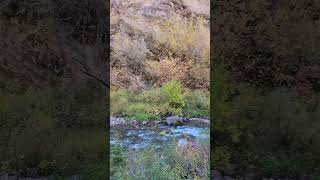 Fall In Beautiful Wyoming wyoming nature stream watersounds [upl. by Alyks]