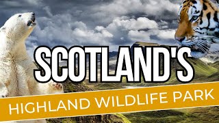 Scotlands highland wildlife park [upl. by Harned511]