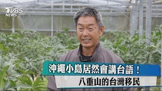 沖繩小島居然會講台語！ 八重山的台灣移民 [upl. by Rebna882]